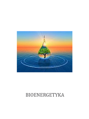 BIOENERGETYKA